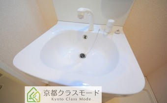 シャンプードレッサー