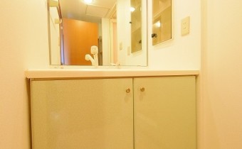 シャンプードレッサー　※室内写真は同マンション内の別のお部屋のものです。参考にご覧ください。