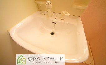 シャンプードレッサー
