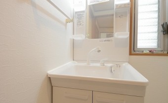 シャンプードレッサー