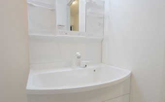 シャンプードレッサー　※同マンション内の別のお部屋のものです。参考としてご覧ください。