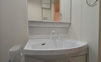 シャンプードレッサー