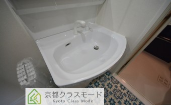 シャンプードレッサー