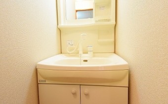 シャンプードレッサー