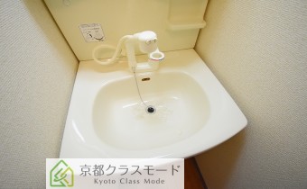シャンプードレッサー