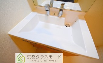 シャンプードレッサー