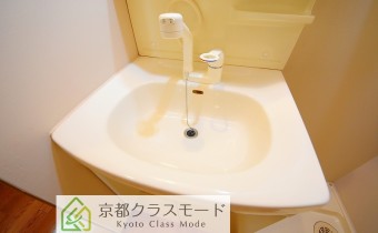 シャンプードレッサー