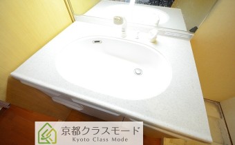 シャンプードレッサー