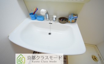シャンプードレッサー