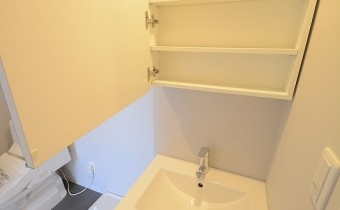 シャンプードレッサー