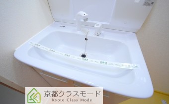 シャンプードレッサー