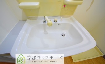 シャンプードレッサー