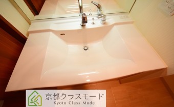 シャンプードレッサー