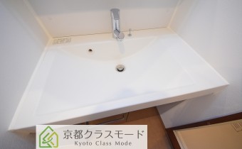 シャンプードレッサー