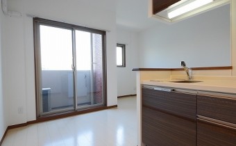 LDK11.5帖