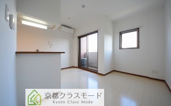 LDK11.5帖・別アングル