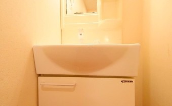 シャンプードレッサー
