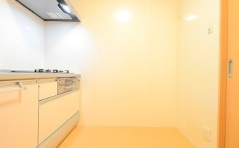 ※同タイプイメージ