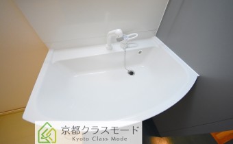 シャンプードレッサー
