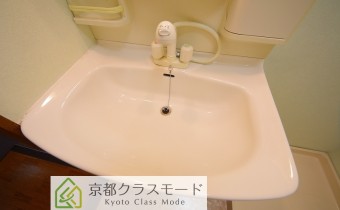 シャンプードレッサー