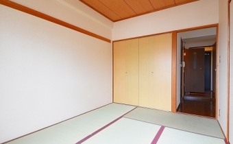和6