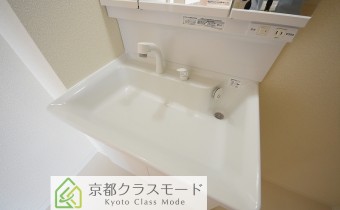シャンプードレッサー