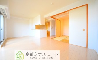 人気のカウンターキッチンタイプのお部屋です♪
