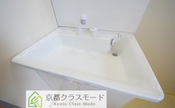 シャンプードレッサー