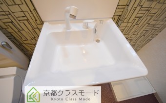シャンプードレッサー