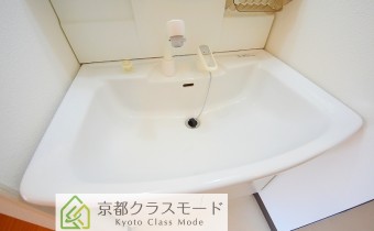 シャンプードレッサー