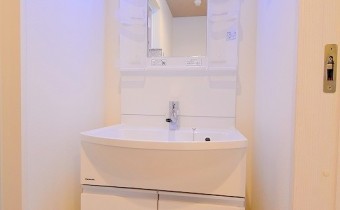シャンプードレッサー