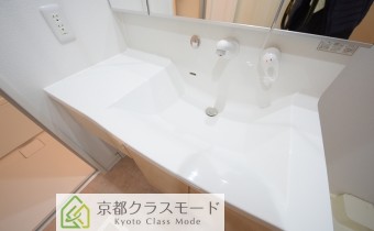 シャンプードレッサー