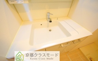 シャンプードレッサー