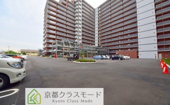 敷地内