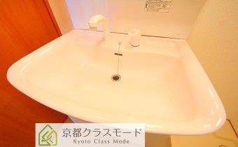 シャンプードレッサー