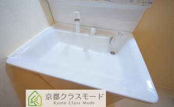 シャンプードレッサー