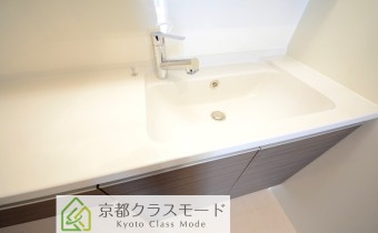 シャンプードレッサー