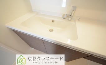 シャンプードレッサー