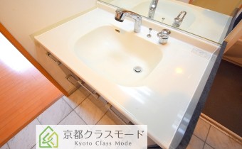 シャンプードレッサー