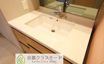 シャンプードレッサー