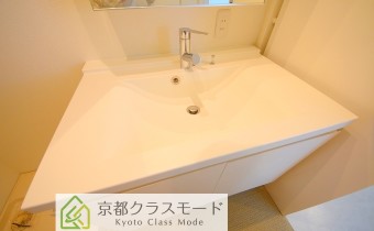 シャンプードレッサー