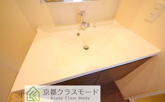 シャンプードレッサー