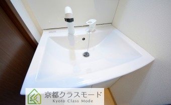 シャンプードレッサー