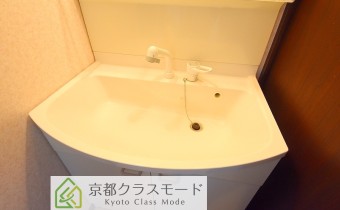 シャンプードレッサー