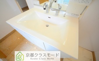 シャンプードレッサー