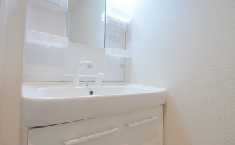 シャンプードレッサー