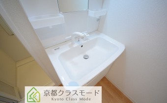 シャンプードレッサー