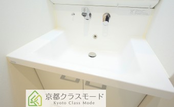 シャンプードレッサー
