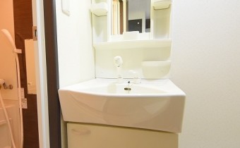 シャンプードレッサー