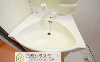 シャンプードレッサー